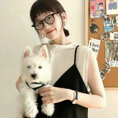 传世宝藏