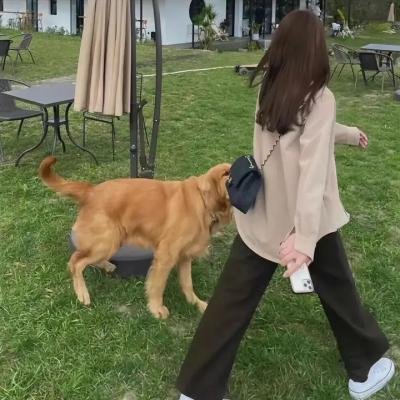 幽灵新人种